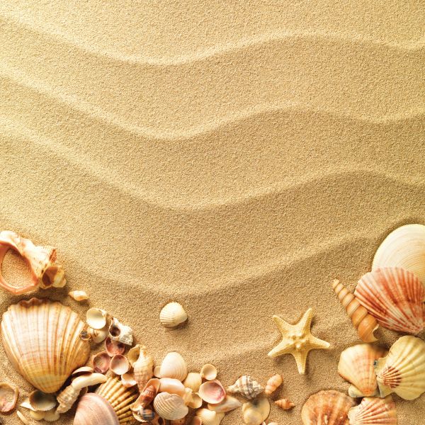 Фреска Песок, ракушки