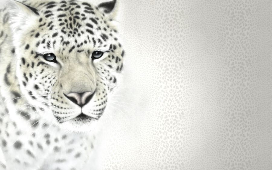 Картина на холсте Леопард, арт hd1833401