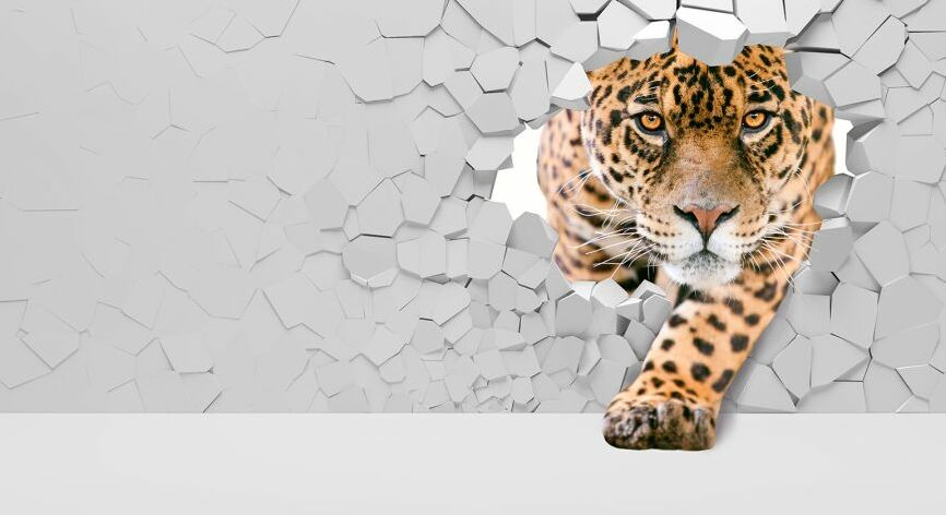Картина на холсте Леопард 3Д, арт hd1492301