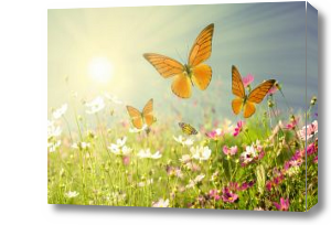 Картина Желтые бабочки в поле