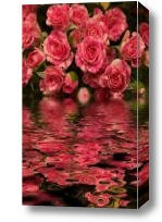 Картина розовые цветы