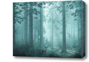 Картина Туманный лес